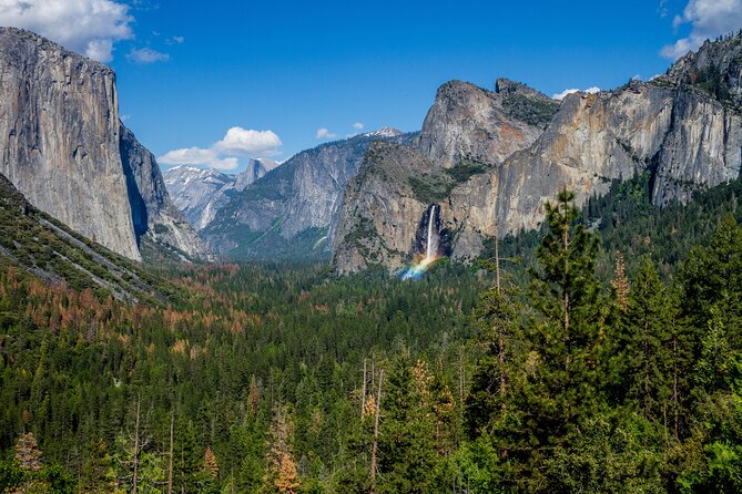 Yosemite and Giant Sequoias Day Tour - Travel Tips