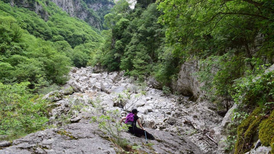 Zagori: Hiking In Vikos Gorge - Highlights and Description