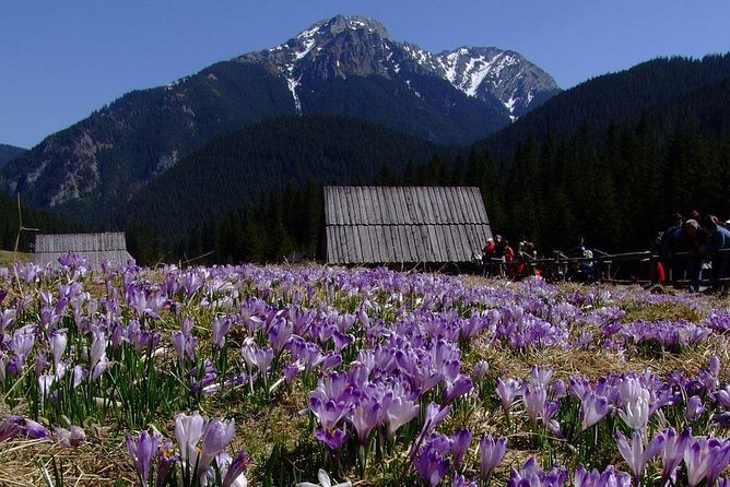 Zakopane and Dunajec River Rafting - Cancellation Policy