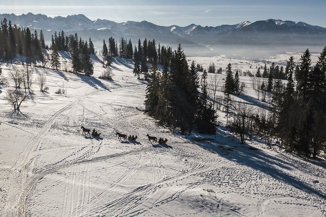 Zakopane and Horse Sleigh Ride in the Countryside, Private Tour From Krakow - Cancellation Policy