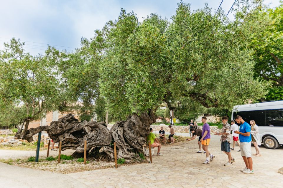 Zakynthos: Shipwreck Beach and Blue Caves Land and Sea Tour - Tour Inclusions