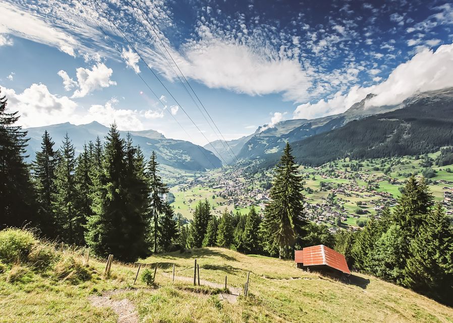 Zurich: Day Trip to Grindelwald & Interlaken by Bus & Train - Tour Rating Insights