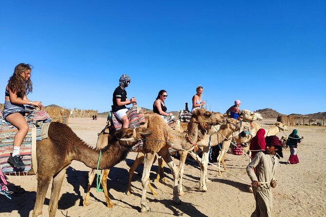 3h Family Buggy in Hurghada