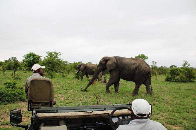 4 Day Greater Kruger National Park Adventure Safari - Key Points