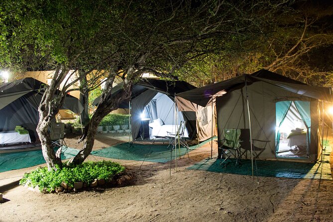 4 Day Private Kruger Under Canvas Safari - Key Points