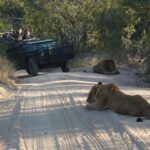 4 day safari private reserve highlight 4-Day Safari & Private Reserve Highlight