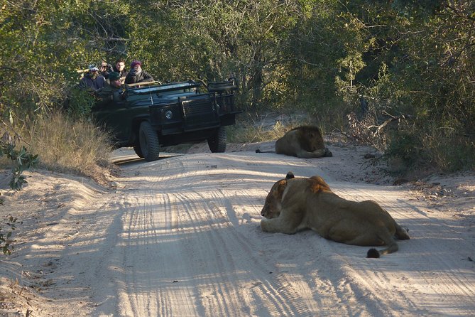 4 day safari private reserve highlight 4-Day Safari & Private Reserve Highlight