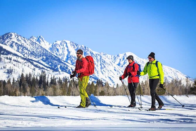 4 Hour Beginner Cross Country Skiing in Grand Teton - Key Points