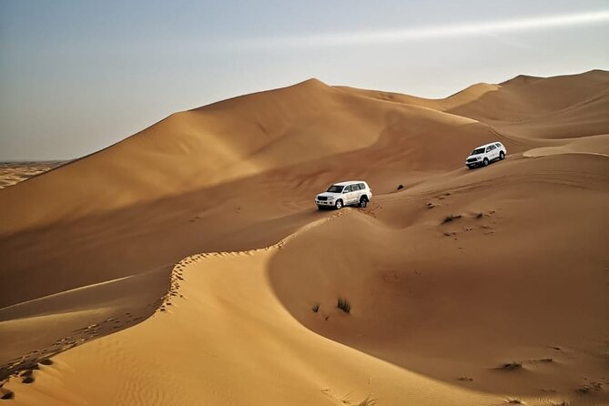 4 Hours Morning Desert Safari in Dubai - Key Points