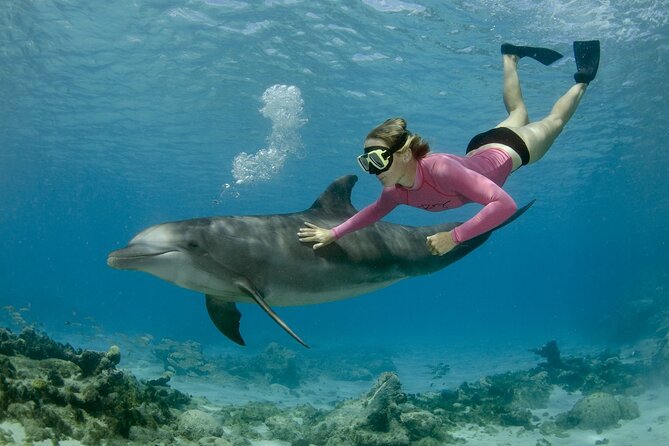 4 Hours Private Speed Boat Snorkeling With Dolphins Trip, Water Sport - Hurghada - Key Points