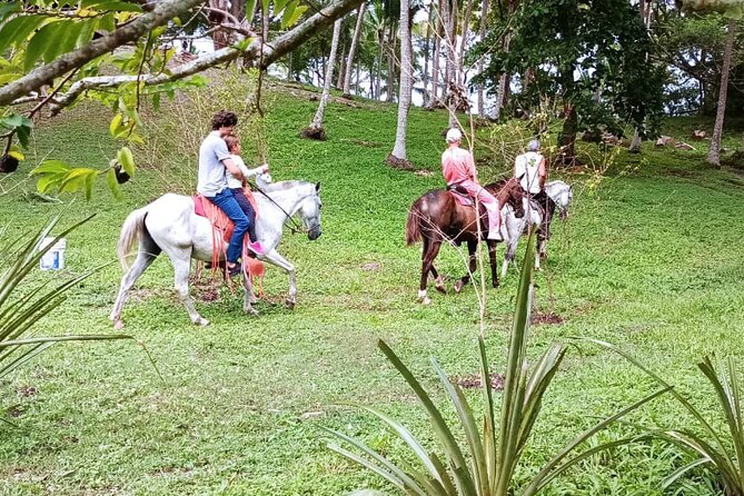 1 1/2 Hours Tour Horseback Riding and Visiting the Beach - Private Tour Details