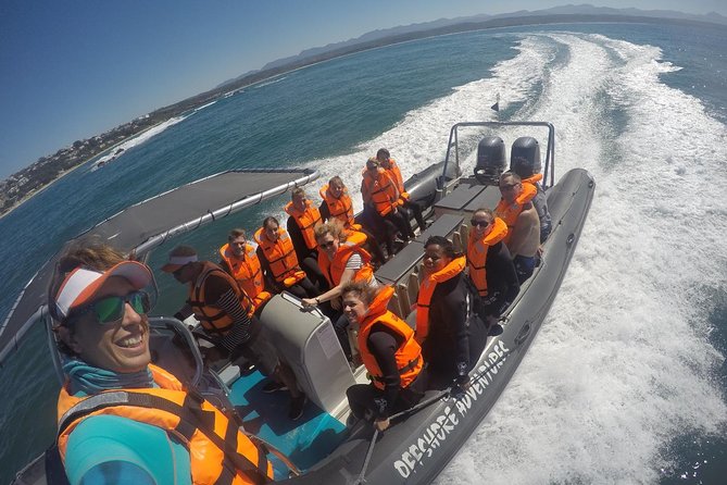 1.5-Hour Seal Viewing Boat Tour in Plettenberg Bay - Logistics