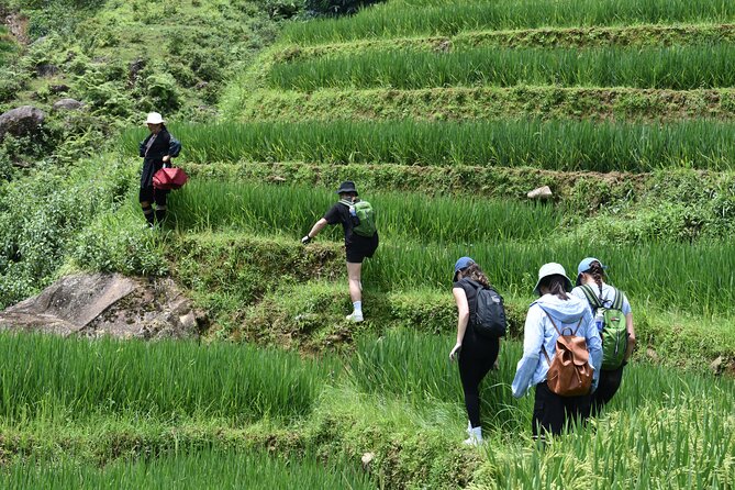 1-Day Private Trekking in Sapa Through Terraces Rice Fields - Expert Guided Trekking Experience