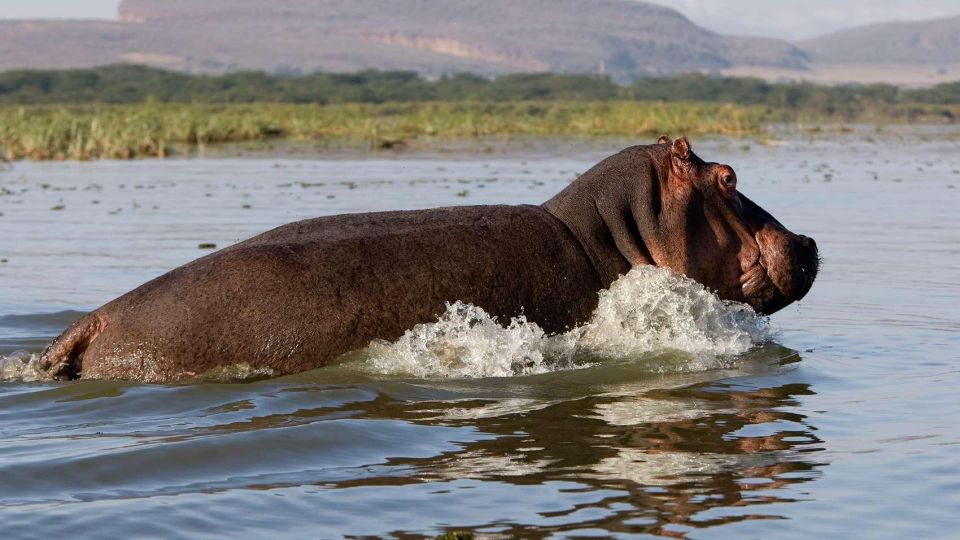 1 Day Trip to Hells Gate Park and Optional Lake Naivasha - Additional Information for Participants