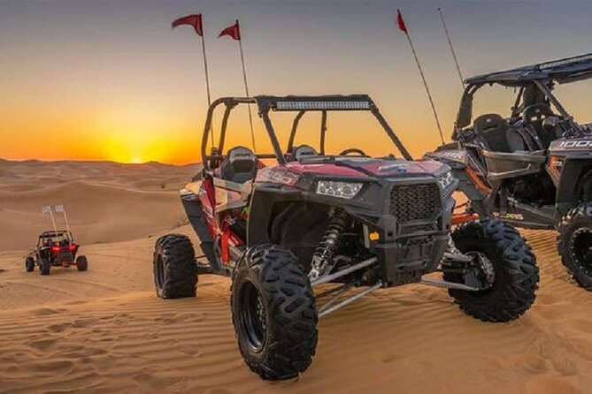 1-Hour Dune Buggy Self Drive With Camel Ride and Sand Boarding in Red Dunes - Participant Eligibility