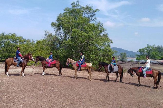 1 Hour Horse Riding Tour On The Beach Krabi - Support and Assistance