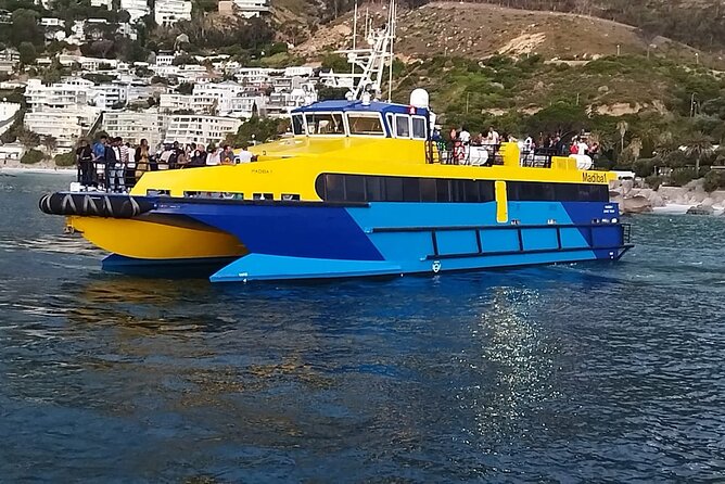 1 Hour Shared Boat Cruise in Cape Town Waterfront - Additional Information