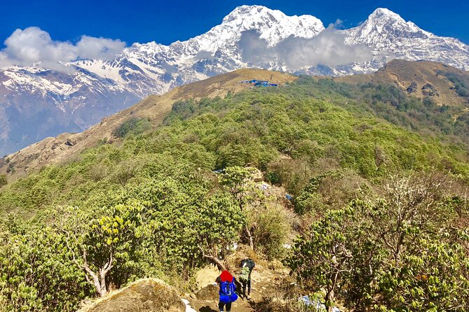 10-Day Private Mardi Himal Trek From Kathmandu - Last Words