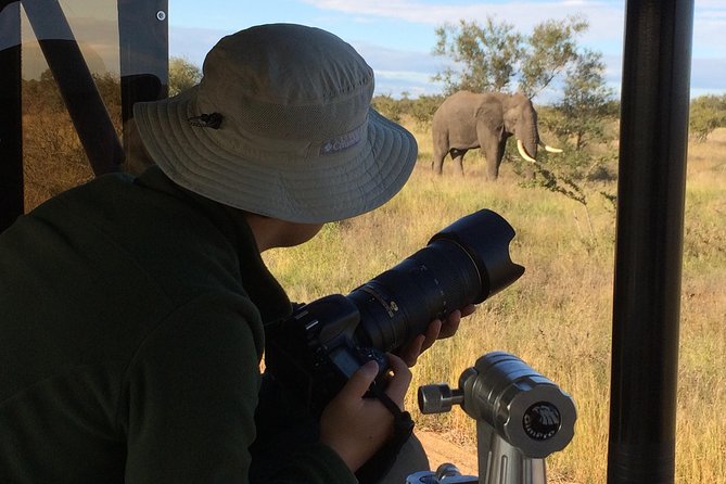 10 Day Wildlife Photographic Safari - Kruger National Park - B1 Photo Safaris - Booking and Pricing