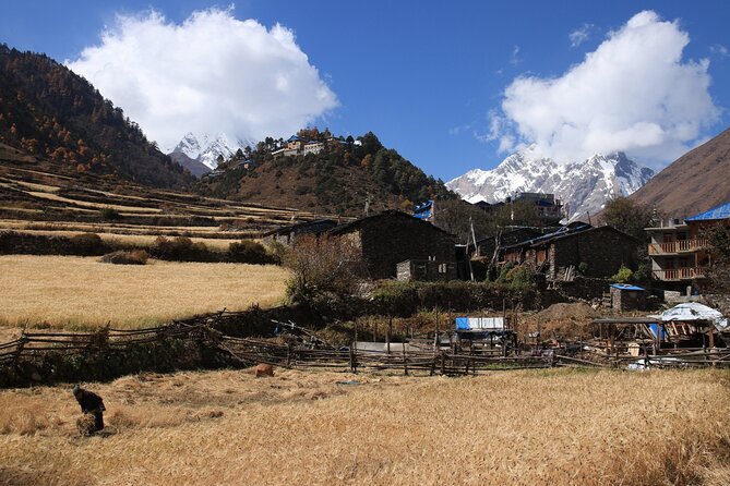 14 Days Private Tour in Manaslu Circuit Trek - Meals and Dining