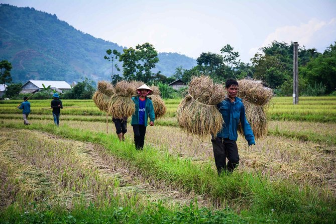 14 Days Vietnam Bicycling Tour - Cultural Experiences