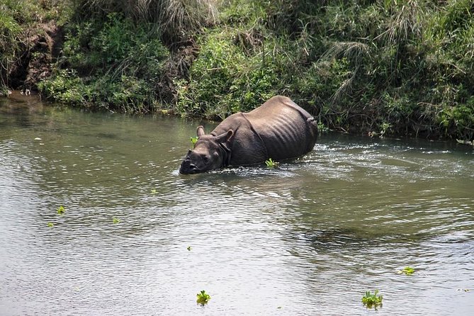 2 Day Chitwan National Park Tour From Kathmandu - Last Words