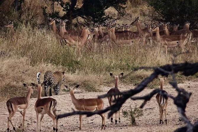 2 Day Kruger National Park Safari - Packing Essentials