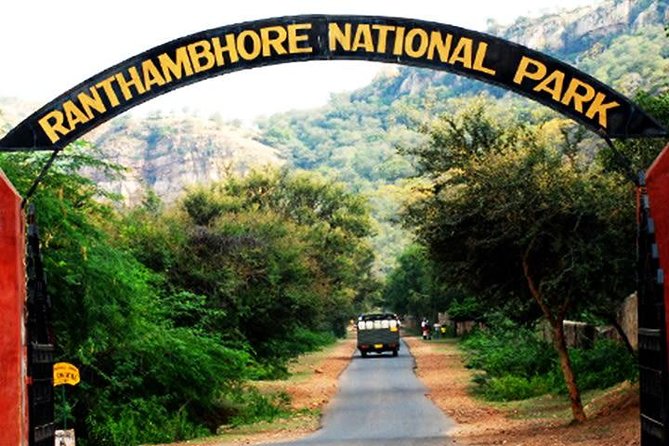 2-Days Private Ranthambhore Tiger Tour From Jaipur - Choosing the Right Safari Zone