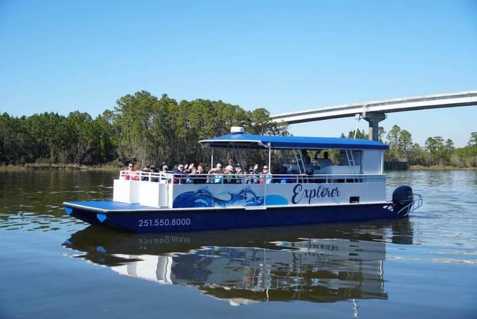 2-Hour Dolphin and Nature Eco Tour From Orange Beach - Inclusions