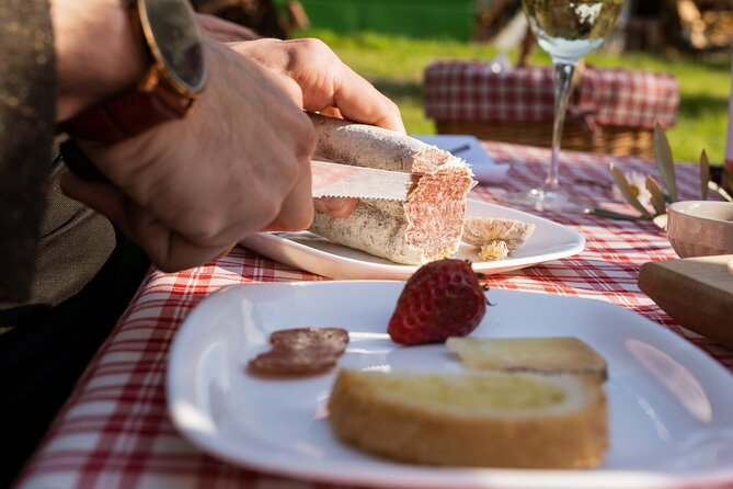 2-Hour Picnic Among the Olive Trees With Typical Abruzzese Products - Cancellation Policy