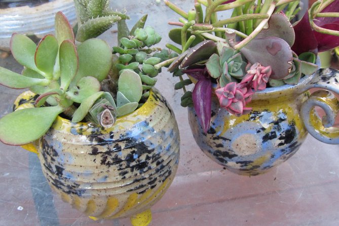 2- Hour Pottery Workshop and Studio Tour in Ojai - Additional Information