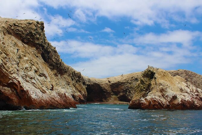 2-Hour Tour to the Ballestas Islands From Puerto San Martín - Common questions