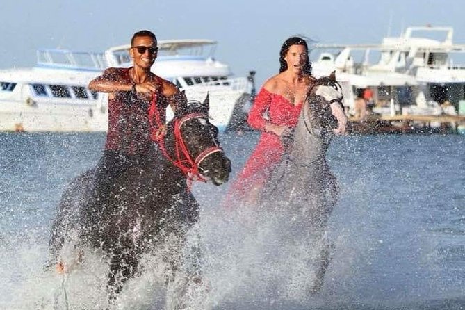 2 Hours Horse Riding 1H on the Sea and 1H in Desert From Hurghada - Pricing Details
