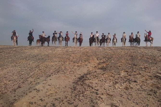 2 Hours Horse Riding on the Sea and Desert- Hurghada - Reviews and Ratings