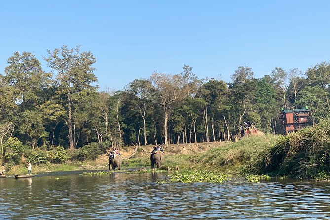 2 Nights 3 Days Chitwan Jungle Safari Tour - Accommodation Details