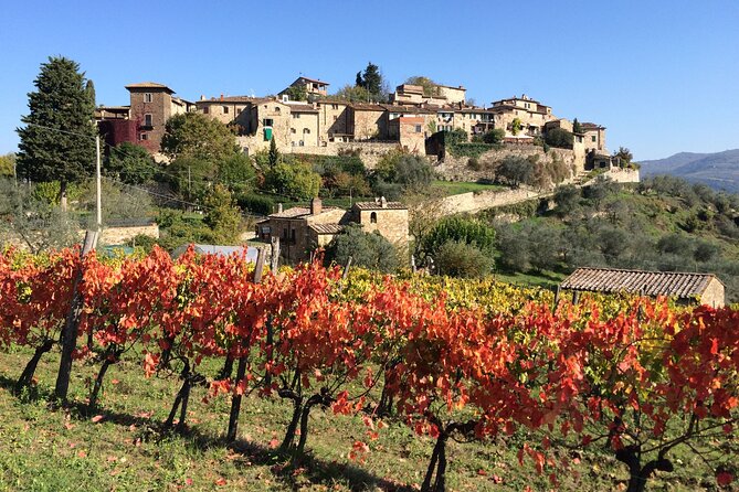 2 Wineries Chianti Wine Tasting & Vineyards Walk Private Tour - Culinary Experience