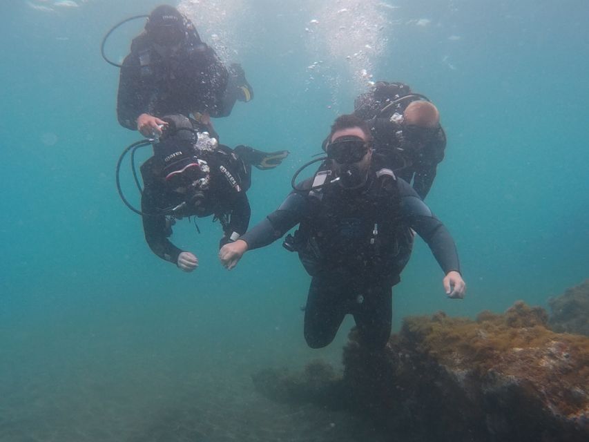 20 Minute Try Dive for Beginners - Booking Information and Pricing