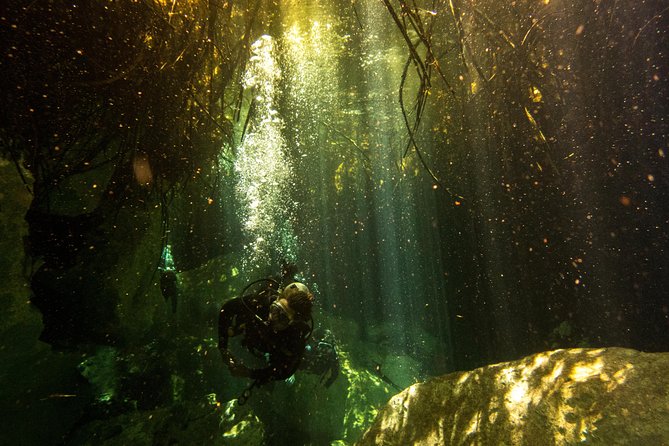 3 Cenote Dives - Casa & Dos Ojos - Common questions