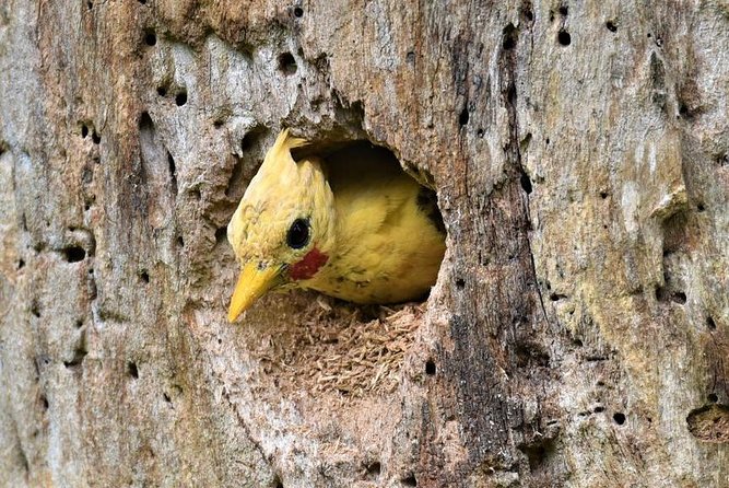 3 Day Iquitos Jungle Adventure at Muyuna Lodge - Common questions