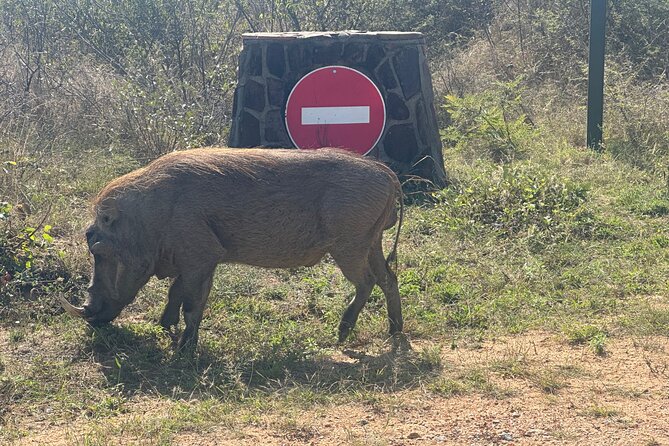 3 Day Kruger National Park End With Panaroma - Accommodation and Meals Included