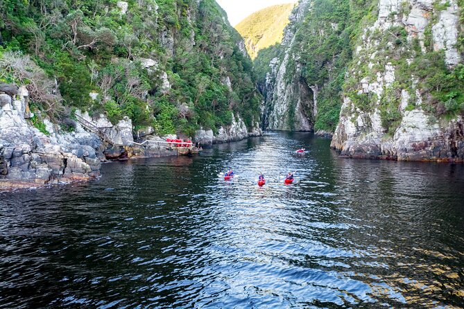 3 Days 2 Nights Garden Route Private Tour From Cape Town