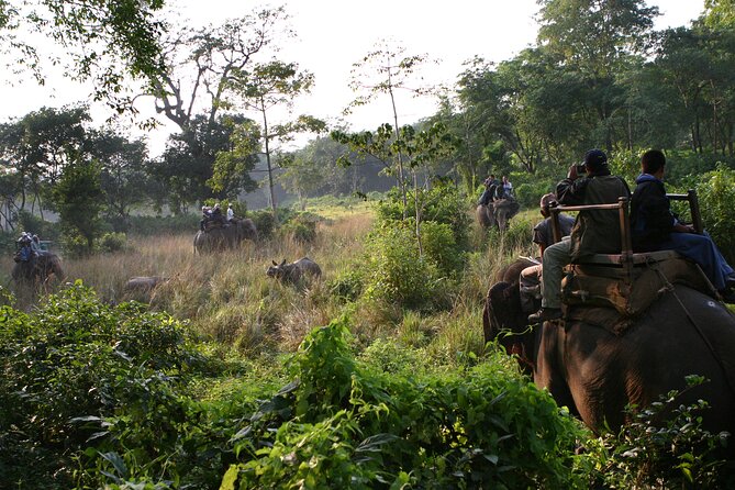 3 Days Chitwan Jungle Safari - Last Words