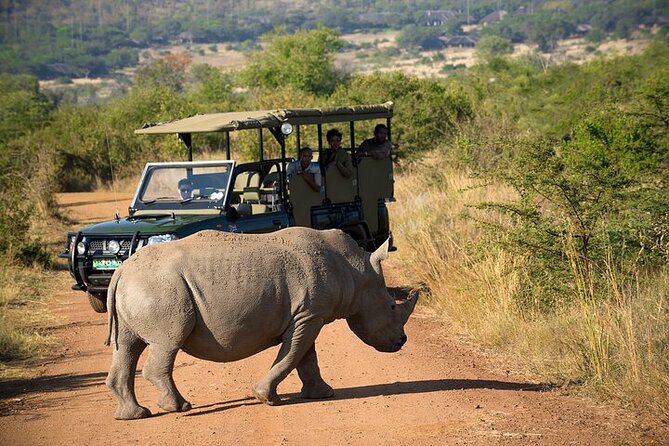 3-Hour Private Game Drive in Pilanesberg National Park - Cancellation Policy