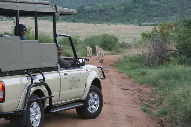 3-Hour Private Game Drive of Pilanesberg National Park - Weather Restrictions