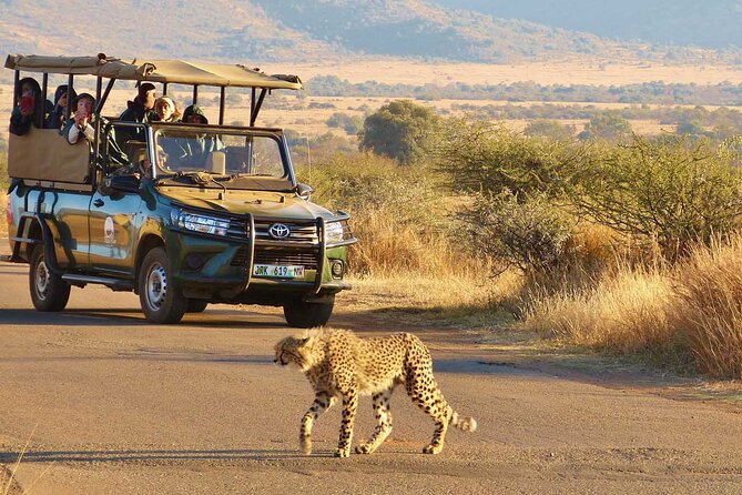 3-Hour Scheduled Safari Game Drive in Pilanesberg National Park - Pricing Information