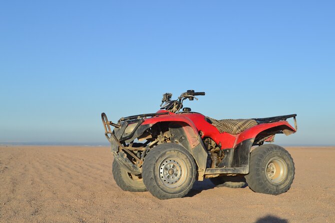 3 Hours Safari by ATV Quad Bike & Camel Ride Transfer to El Gouna - Last Words