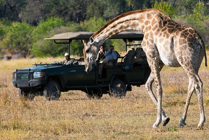 4-Day Kruger National Park & Panorama Route Tented Safari - Common questions