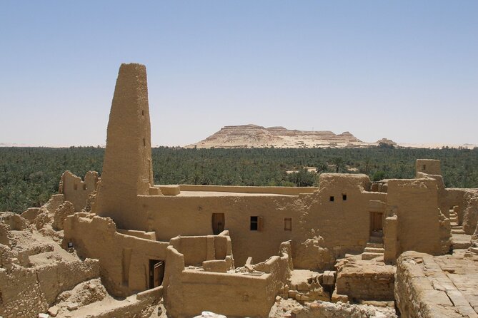 4 Days Tour Package to Siwa Oasis From Cairo - Legal and Booking Details