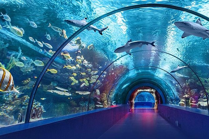 4-Hour Guided Antalya Aquarium Tour - Tour Reviews