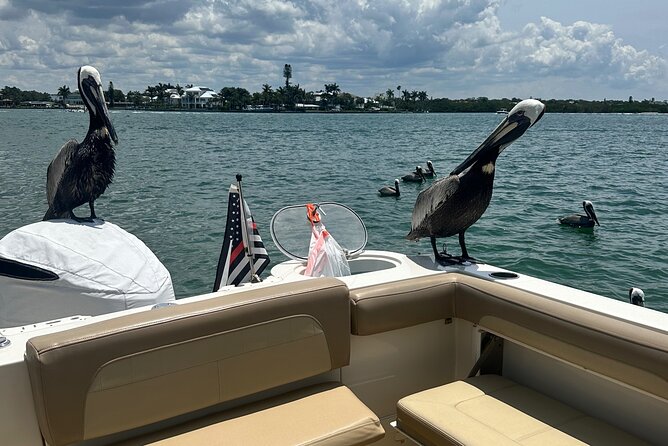 4 Hour Private Boat Tour in Sarasota Bay - Common questions